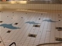 Fliser i Varmtvandsbassin med delfiner